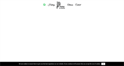 Desktop Screenshot of bodegalaencina.com